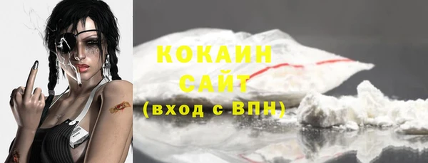 соль ск Арсеньев