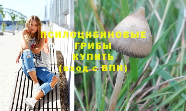 ПСИЛОЦИБИНОВЫЕ ГРИБЫ Армянск