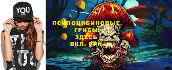соль ск Арсеньев