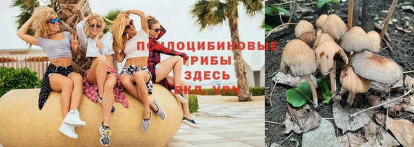 ПСИЛОЦИБИНОВЫЕ ГРИБЫ Армянск