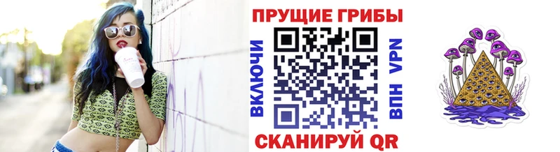 наркотики  Баксан  Галлюциногенные грибы Cubensis 